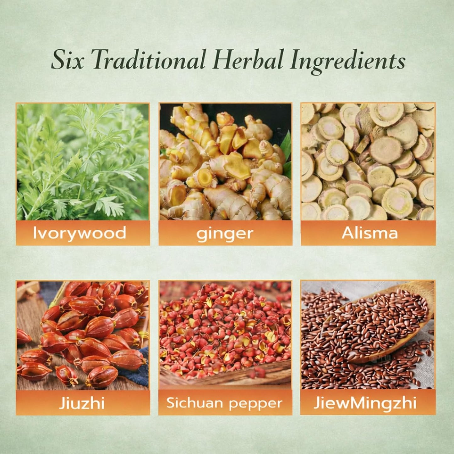 Herbal Balance Patch — Japanese Kampo Formula